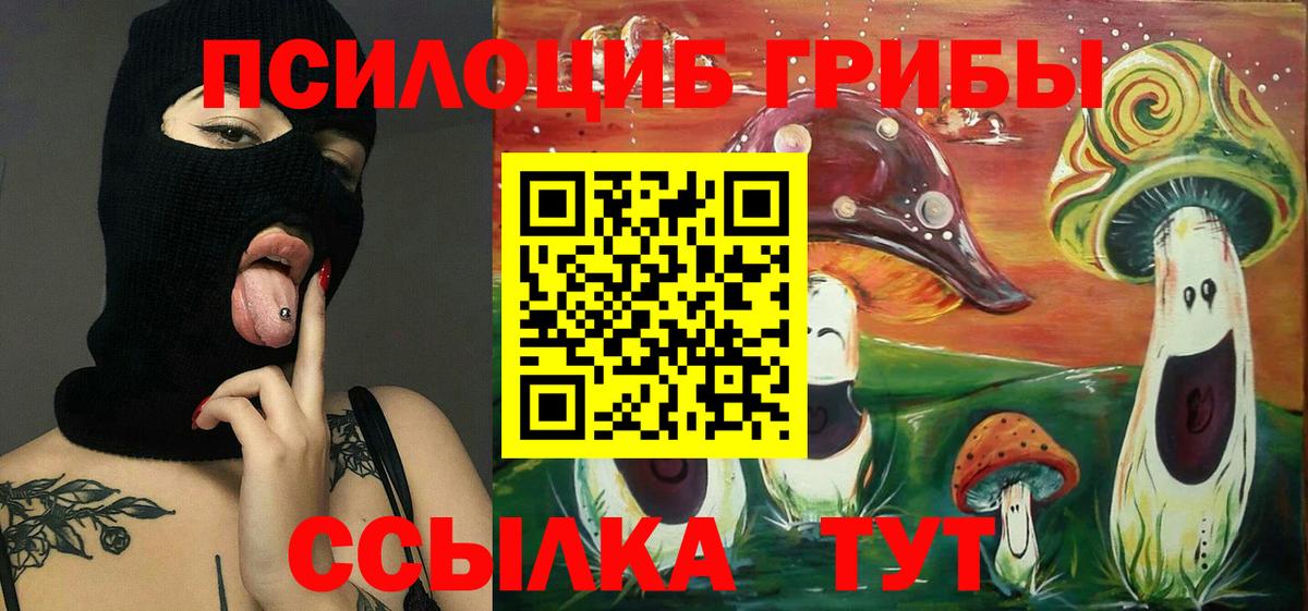 Галлюциногенные грибы мицелий Пыть-Ях